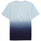 PUMA x Hyrox Poly Graphic Trainingsshirt Herren 64 - lucite/deep plum S