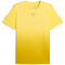 PUMA x Hyrox Poly Graphic Trainingsshirt Herren 19 - pineapple ice/dazzling yellow S