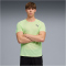 PUMA Lightspeed Laufshirt Herren 38 - apple spritz XXL