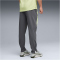 PUMA PWRTRAIN Stretch Woven Trainingshose Herren 38 - galactic gray/apple spritz S
