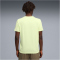 PUMA Tad Essentials Heather Small Cat Trainingsshirt Herren 38 - apple spritz heather M