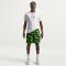 NIKE Nigeria Crest T-Shirt Herren