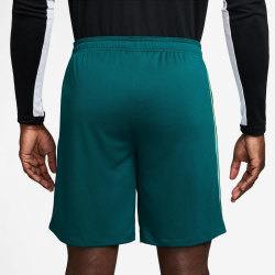 NIKE Brasilien Strike Dri-FIT Trainingsshorts Herren
