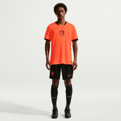 NIKE Niederlande Match Dri-FIT ADV Heimtrikot Herren