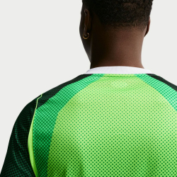 NIKE Nigeria Stadium Dri-FIT Heimtrikot Herren