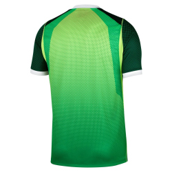 NIKE Nigeria Stadium Dri-FIT Heimtrikot Herren