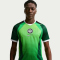 NIKE Nigeria Stadium Dri-FIT Heimtrikot Herren