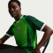 NIKE Nigeria Stadium Dri-FIT Heimtrikot Herren