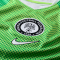 NIKE Nigeria Stadium Dri-FIT Heimtrikot Herren