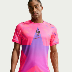 NIKE Frankreich Stadium Dri-FIT Torwarttrikot Herren