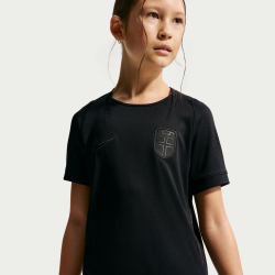 NIKE Norwegen Stadium Dri-FIT Auswärtstrikot Kinder