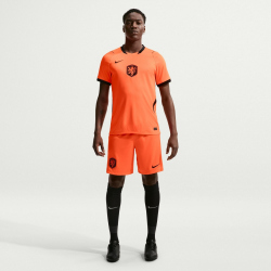 NIKE Niederlande Stadium Dri-FIT Auswärtsshorts Herren
