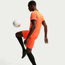 NIKE Niederlande Stadium Dri-FIT Auswärtsshorts Herren