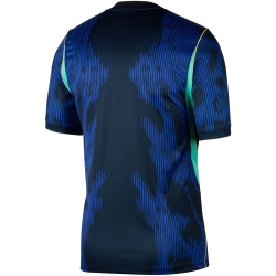 NIKE Brasilien Stadium Dri-FIT Auswärtstrikot 2026 Herren 417 - old royal/black/p109c S
