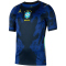 NIKE Brasilien Stadium Dri-FIT Auswärtstrikot 2026 Herren 417 - old royal/black/p109c S