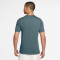 NIKE Pro Dri-FIT T-Shirt Herren 382 - mineral slate/black S