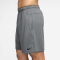 NIKE Totality Dri-FIT 7" Shorts Herren 084 - smoke grey/black S