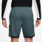 NIKE Academy 25 Dri-FIT Fußball Shorts Herren 382 - mineral slate/white/black/white M