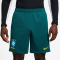 NIKE Brasilien Strike Dri-FIT Trainingsshorts Herren 381 - geode teal/light menta/midwest gold S