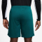 NIKE Brasilien Strike Dri-FIT Trainingsshorts Herren 381 - geode teal/light menta/midwest gold S