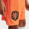 NIKE Niederlande Stadium Dri-FIT Auswärtsshorts Kinder 809 - hyper crimson/black M (137-147 cm)
