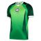 NIKE Nigeria Stadium Dri-FIT Heimtrikot Herren 302 - pine green/electric green/white S