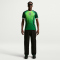 NIKE Nigeria Stadium Dri-FIT Heimtrikot Herren 302 - pine green/electric green/white S