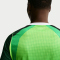 NIKE Nigeria Stadium Dri-FIT Heimtrikot Herren 302 - pine green/electric green/white S