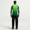 NIKE Nigeria Stadium Dri-FIT Heimtrikot Herren 302 - pine green/electric green/white S