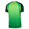 NIKE Nigeria Stadium Dri-FIT Heimtrikot Herren 302 - pine green/electric green/white S