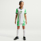 NIKE Nigeria Stadium Dri-FIT Auswärtstrikot Kinder 100 - white/green glow/black S (128-137 cm)