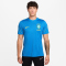 NIKE Brasilien Strike Dri-FIT Trainingsshirt Herren 435 - lt photo blue/light menta/midwest gold L