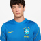 NIKE Brasilien Strike Dri-FIT Trainingsshirt Herren 435 - lt photo blue/light menta/midwest gold L