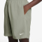 NIKE Multi+ Dri-FIT Icon Shorts Jungen 304 - spruce fog/white XL (158-170 cm)