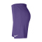 NIKE Park III Dri-FIT Fußball Shorts Kinder 507 - wild grape/white XL (158-170 cm)