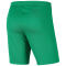 NIKE Park III Dri-FIT Fußball Shorts Kinder 324 - stadium green/white XS (122-128 cm)