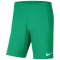 NIKE Park III Dri-FIT Fußball Shorts Kinder 324 - stadium green/white S (128-137 cm)