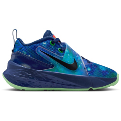 NIKE Team Hustle D 12 Basketballschuhe Kinder