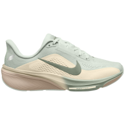 NIKE Pegasus 42 Laufschuhe Kinder