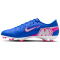 NIKE Mercurial Vapor 16 Academy FG/MG Fußballschuhe Herren