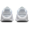 NIKE Flex Train Fitnessschuhe Damen 101 - white/metallic silver-photon dust 44