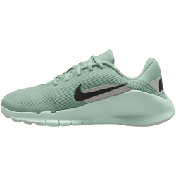 NIKE Flex Train Fitnessschuhe Damen 005 - steam/black-light silver-barely green 44