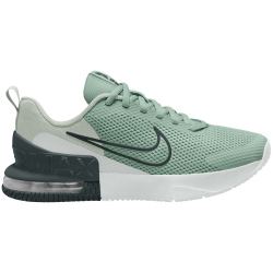 NIKE Air Max Alpha Trainer 6 Fitnessschuhe Herren 015 - steam/black spruce-spruce aura-off white 40.5