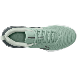 NIKE Air Max Alpha Trainer 6 Fitnessschuhe Herren 015 - steam/black spruce-spruce aura-off white 40.5