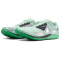 NIKE Rival Waffle 6 Laufschuhe Herren 300 - barely green/metallic silver-green glow 38.5
