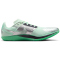 NIKE Rival Waffle 6 Laufschuhe Herren 300 - barely green/metallic silver-green glow 38.5