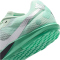 NIKE Rival Waffle 6 Laufschuhe Herren 300 - barely green/metallic silver-green glow 38.5