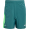 adidas Tech Apparel Climacool Trainingsshorts Herren