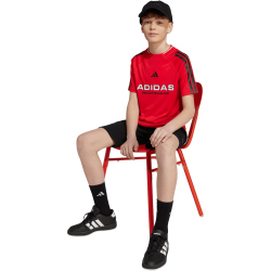 adidas House of Tiro T-Shirt Kinder