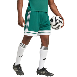 adidas Squadra 25 Fußballshorts Herren